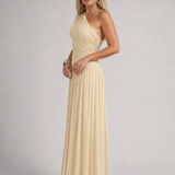 Esmemarie | One Shoulder Draped Bodice Maxi Dress